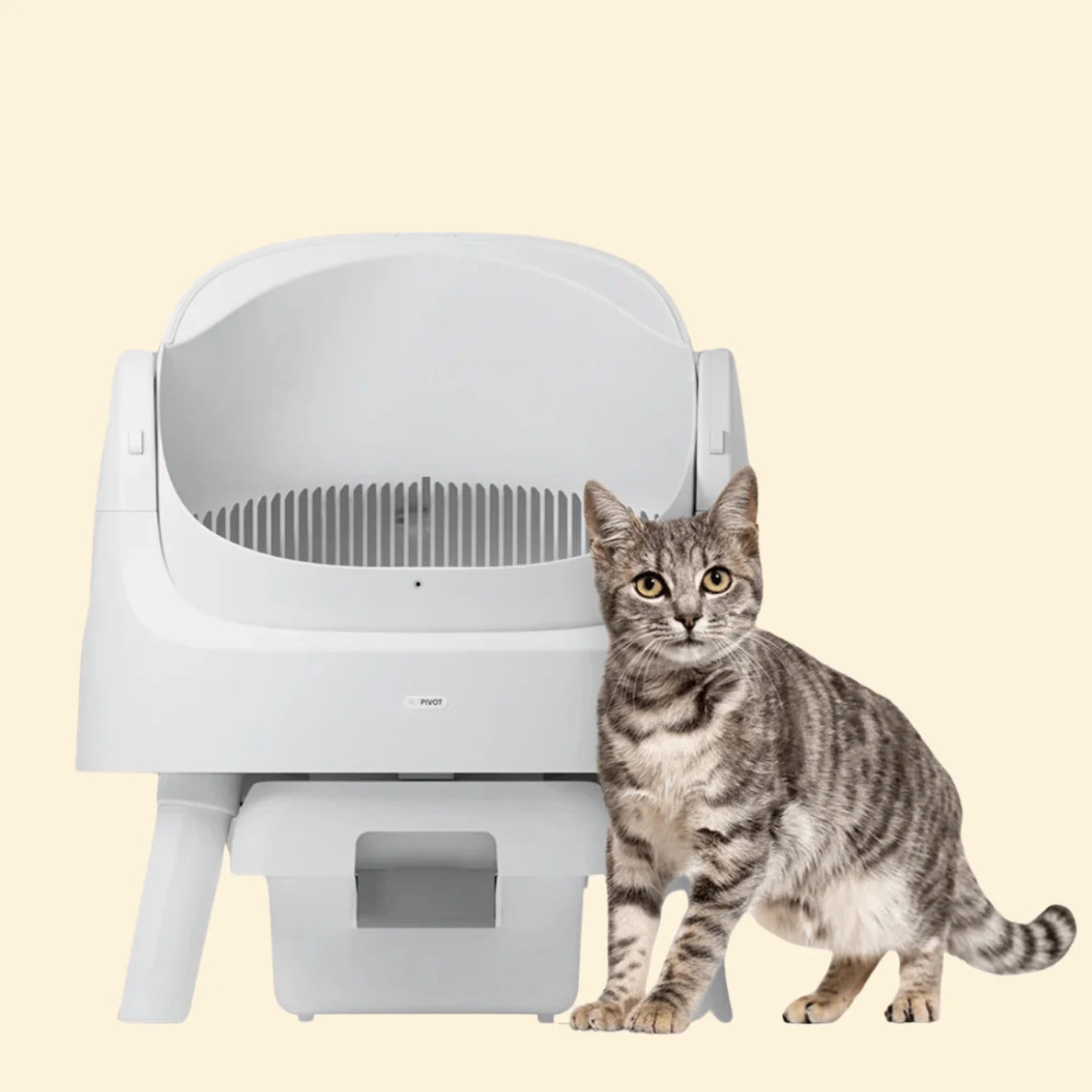 Litière Maine Coon Automatique Connectée